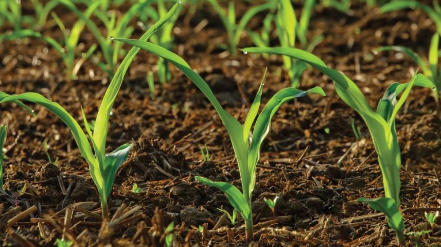 Se creó la Mesa de Competitividad Agroindustrial Ambiental