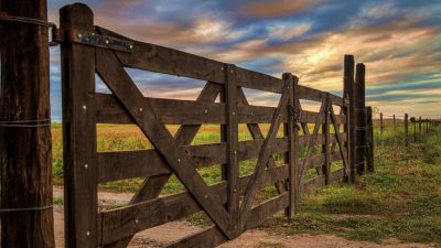 Marcada caída estacional de la actividad inmobiliaria rural