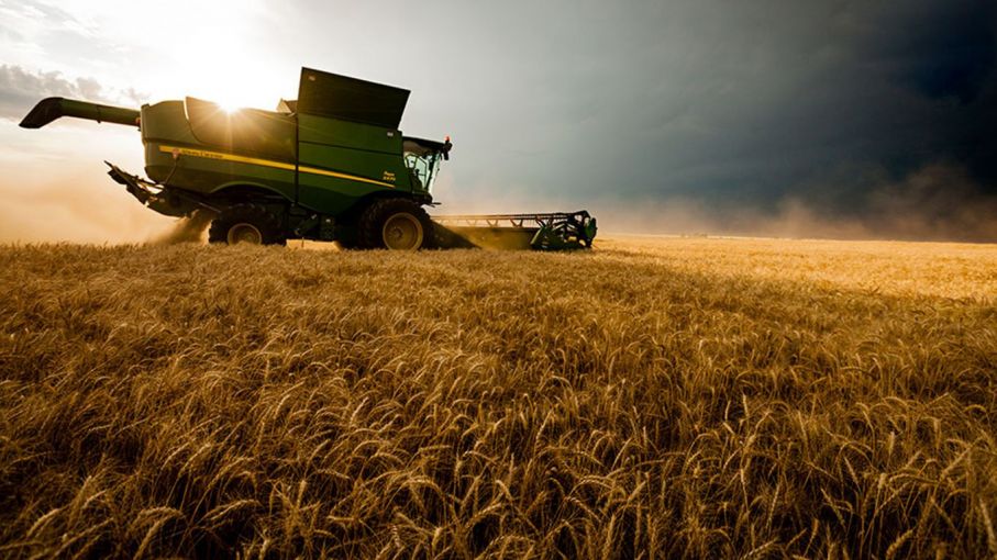 Agro, minería e informática: únicos sectores que sostienen la entrada de dólares al país