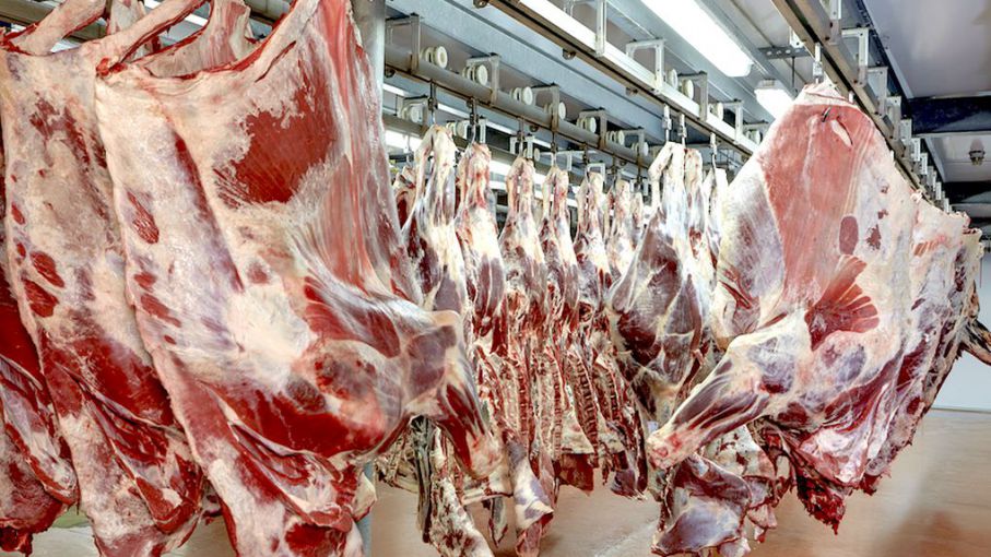 Israel es el mayor comprador de carne bovina paraguaya