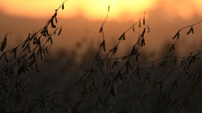 La Coalición Cívica propone modificar la Ley Impositiva 2024 y fijar topes de aumentos. 