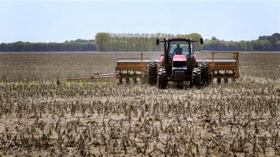 Finaliza siembra de soja y la proyección final de cosecha se ubica en 46 millones de toneladas