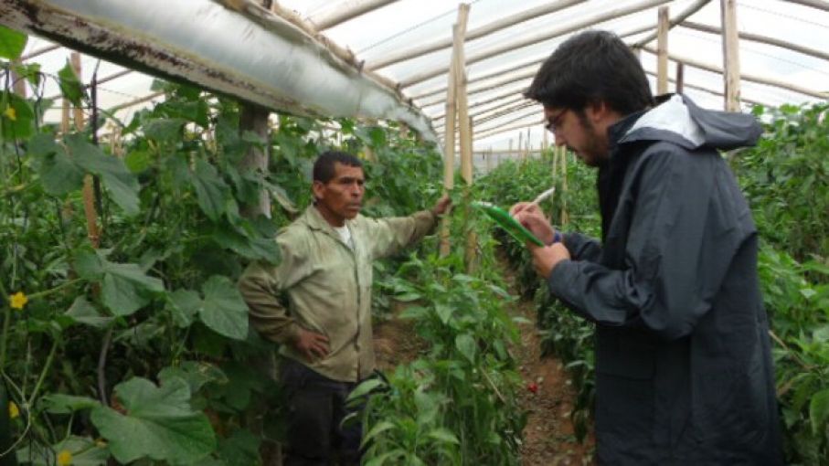 Acuerdan aumentos para trabajadores rurales de un 32%