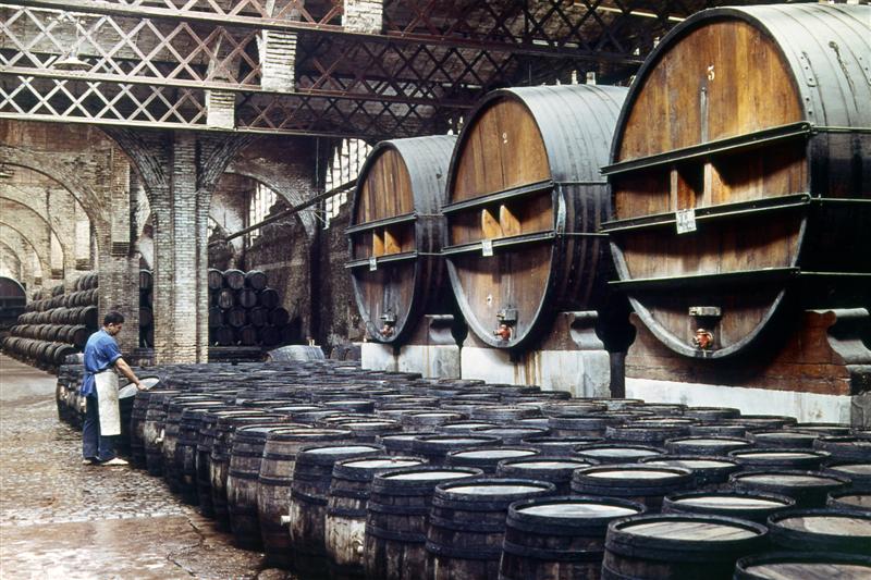 Se eliminaron derechos de exportación a productos industriales de la vitivinicultura