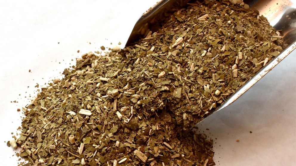 Dispusieron un lmite de 5 hectreas anuales para nuevas plantaciones de yerba mate