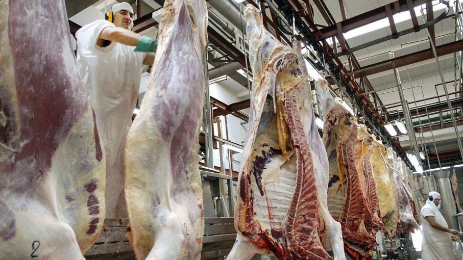 A partir del lunes próximo ya no habrá restricciones para la exportación de cortes bovinos