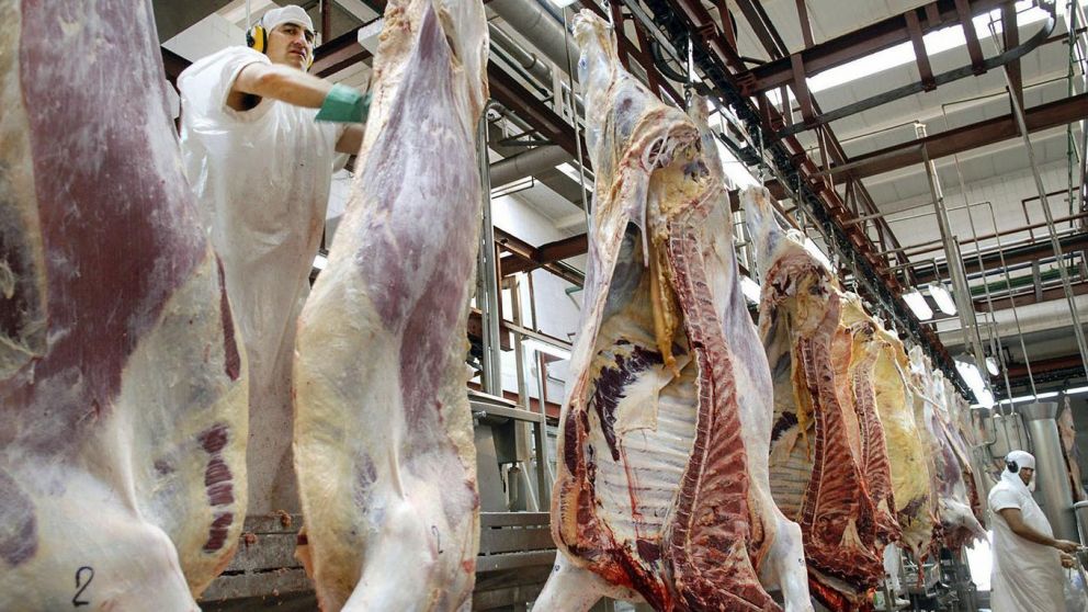 Panorama internacional de la carne