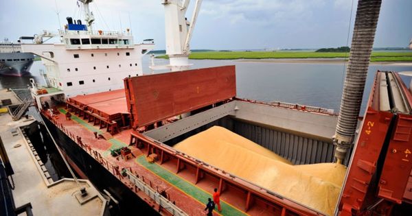 Rusia y Ucrania llegan a un acuerdo para desbloquear la exportación de  granos - Agrolatam