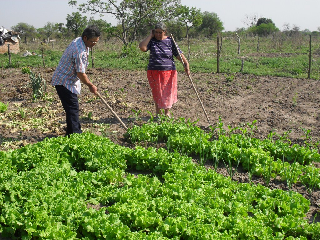 Más de 64 mil agricultores familiares están en el Renspa