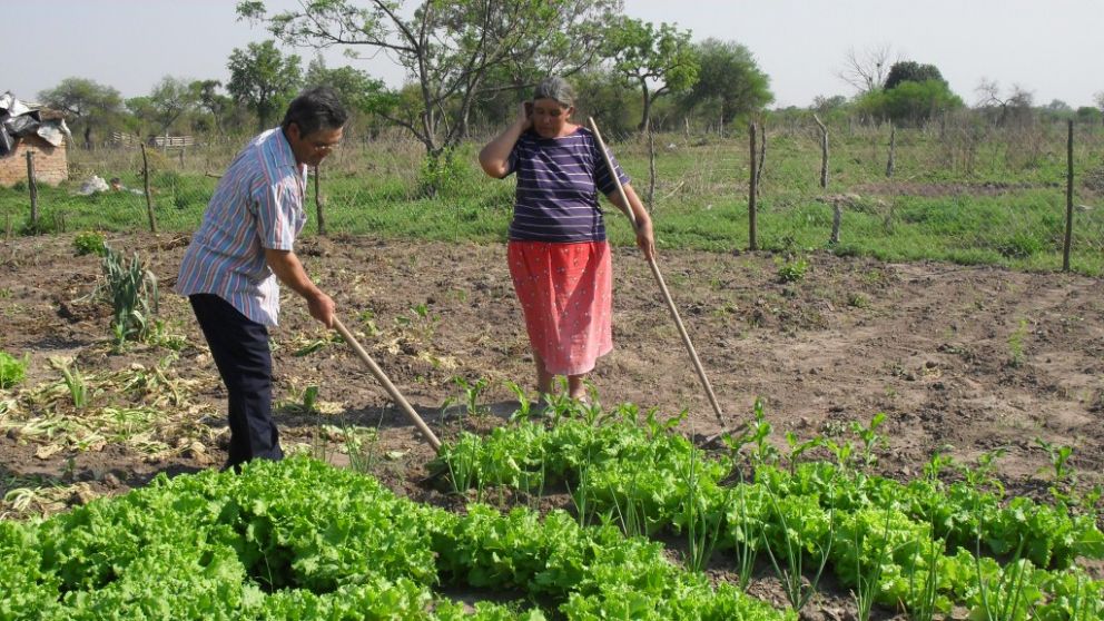 Ms de 64 mil agricultores familiares estn en el Renspa