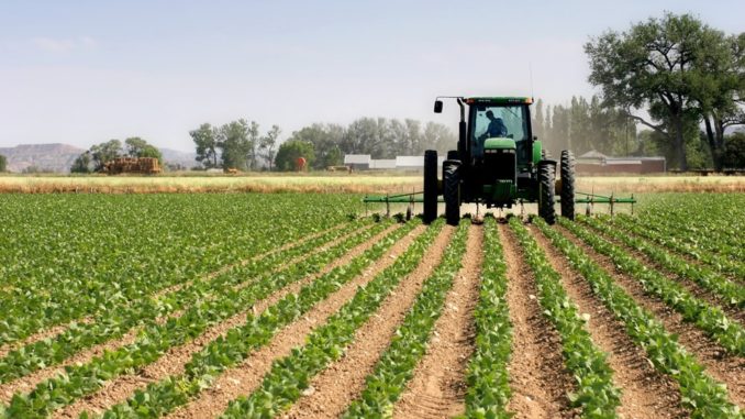 Impulsan lineas de creditos para pymes agropecuarias