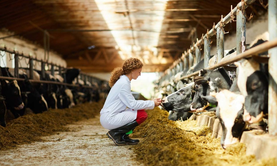 CONINAGRO Buenos Aires apoya las Pymes del campo