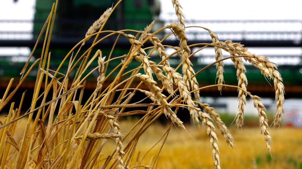 Los agricultores de Estados Unidos alimentan al mundo