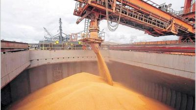 Agricultura prorroga hasta el 29 de mayo la presentación de DJVE que debían hacerse en abril
