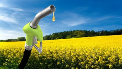 Los fabricantes de biodiésel le reclaman al Gobierno que actualice los precios del sector