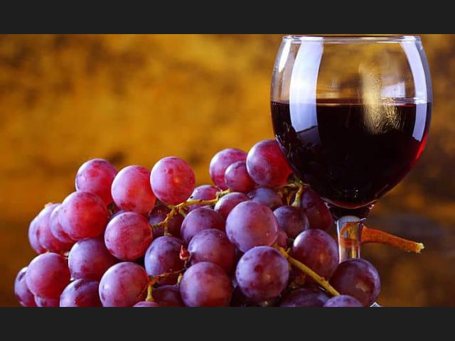 Tratarán la creación de un Distrito del Vino en la Ciudad de Buenos Aires
