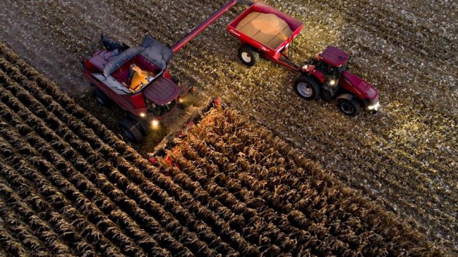 El Usda proyecta un alza en stocks de maíz en EEUU y reducción de los de soja