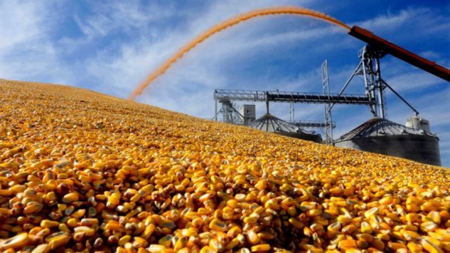 El trigo y el maíz finalizaron la rueda con subas superiores de entre 6% y 8% en Chicago