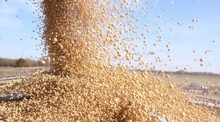 Mercados: la Bolsa argentina opera en alza de la mano de las compañías energéticas