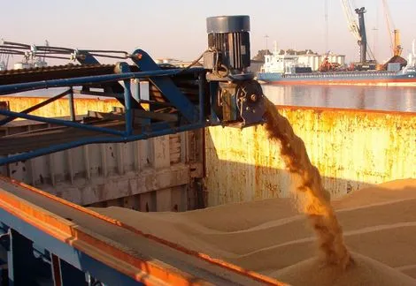 Mercado de Granos: la soja rebota mientras el trigo sigue en caída y el maíz se mantiene firme
