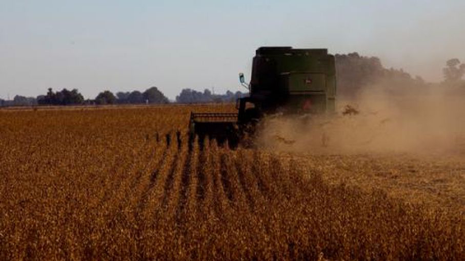 CRA propone 9 medidas para paliar la crisis y proteger los empleos en el agro