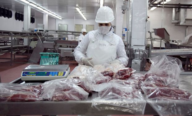  Las exportaciones de carne congelada tuvieron un repunte en abril