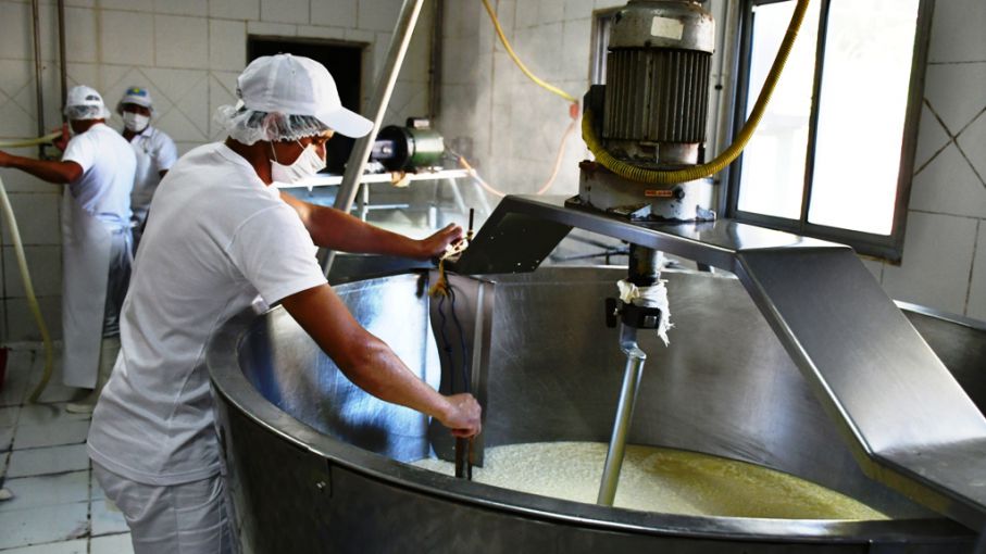 Tamberos e industria buscan alternativas para definir el destino del excedente de leche