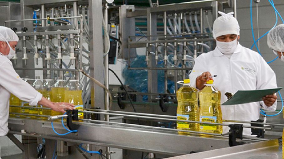 Exportación argentina de subproductos del girasol caerá más de 30% por coronavirus