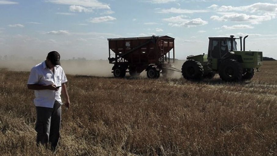 CRA: "La rentabilidad y supervivencia de muchos productores está en riesgo total"