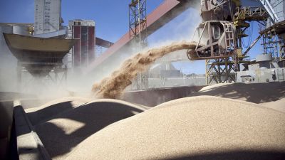 La agroindustria aportó el 92% de las divisas netas que ingresaron al país en los últimos cinco años