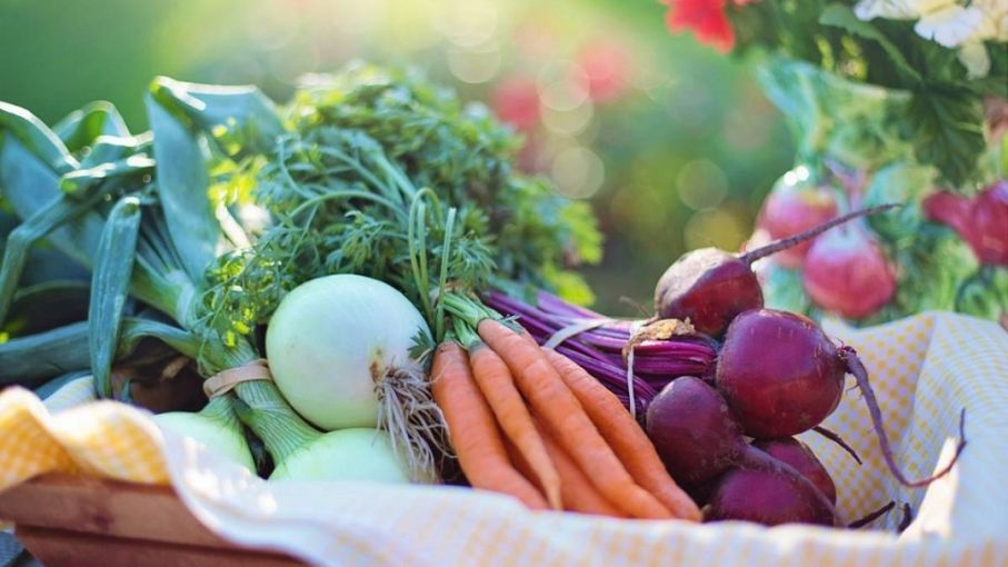 Domínguez abre la Cumbre sobre Reducción de Pérdidas y Desperdicios de Alimentos