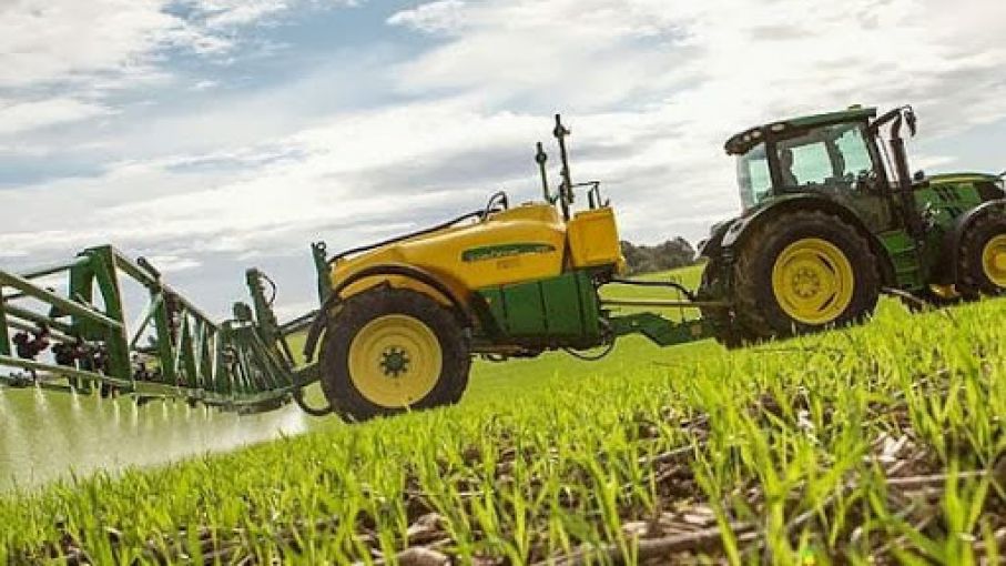 Cómo manejar la fertilización del trigo desde el arranque