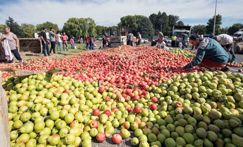 Empresa rionegrina invertirá US$ 6 millones para industrializar producción de peras y manzanas