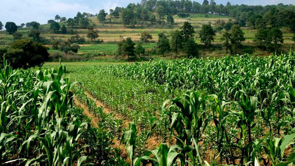 Convocan a la presentacin de proyectos de gestin ambiental sustentable