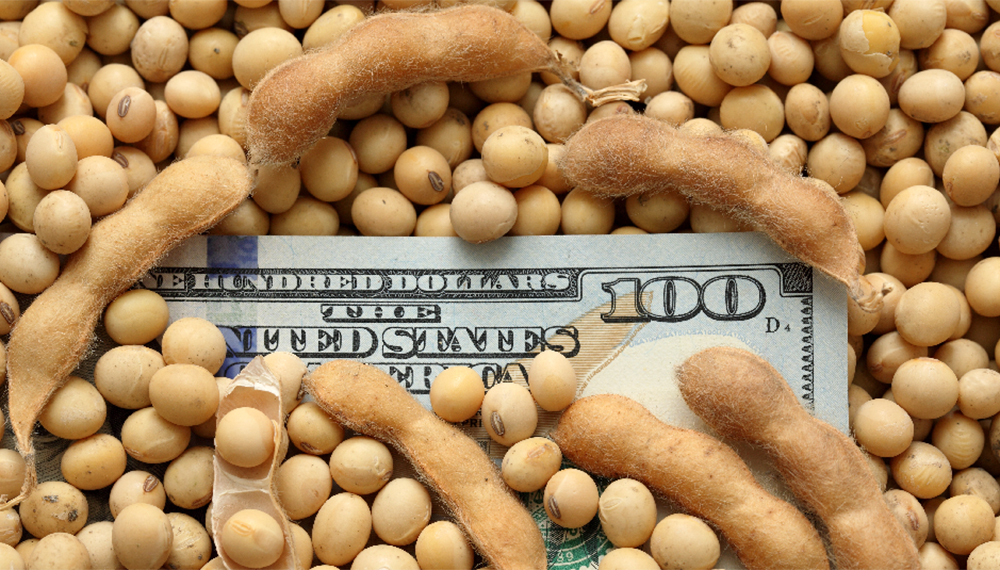 Mercado cree que dólar soja es el comienzo del desdoblamiento cambiario