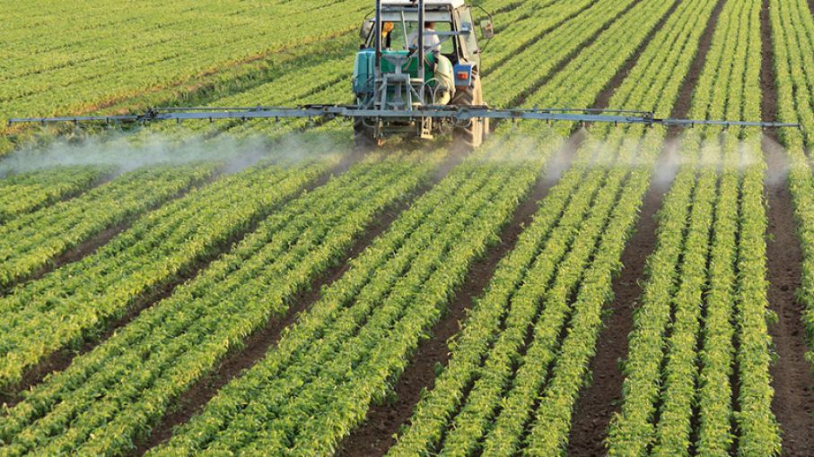 Récord de consumo de fertilizantes en 2019, con una alta participación de importados