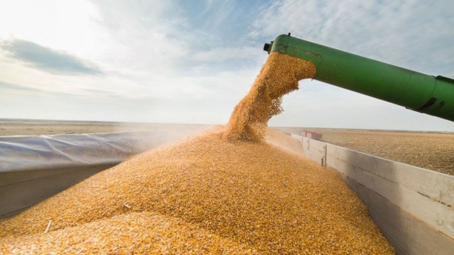Reunión en Bioeconomía: la producción coincidió en la necesidad de que exista un solo tipo de cambio en el comercio granario