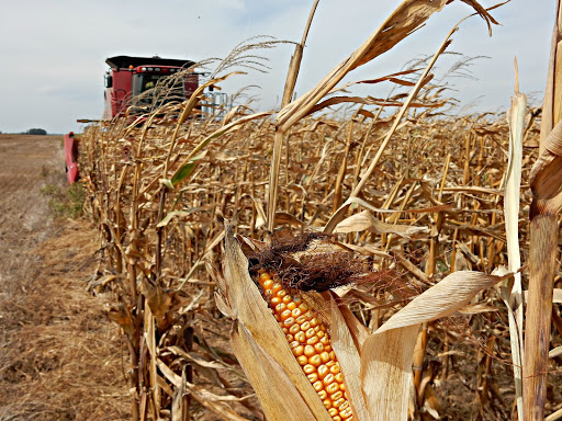 Panorama Agrícola Semanal al 17 de Septiembre