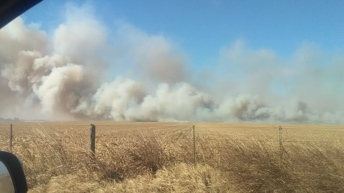Se incendió un campo del presidente de la Sociedad Rural de Río Cuarto