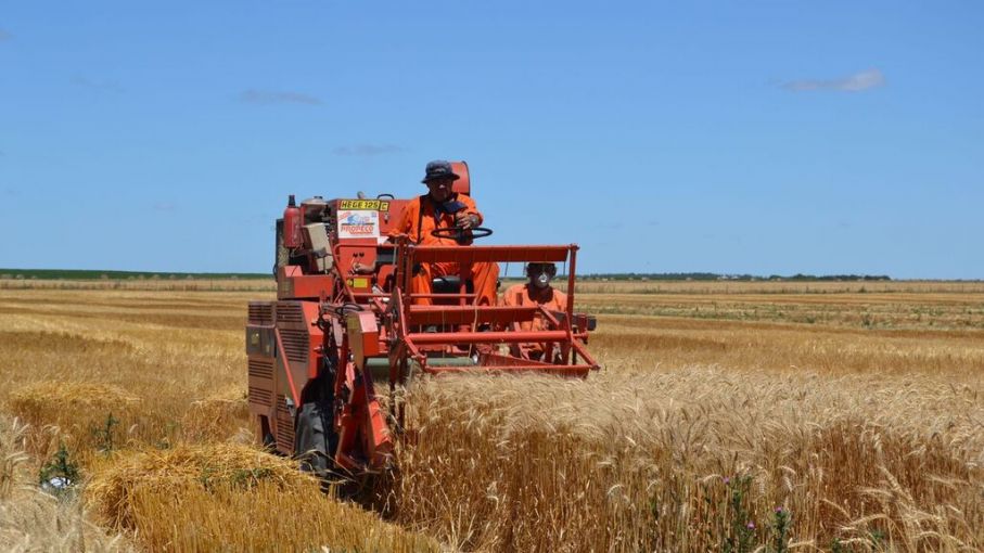 Creció la venta de pulverizadoras y cosechadoras, pero cayó la de tractores