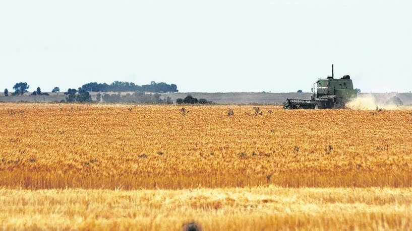 "Córdoba lidera, por primera vez, la producción agroindustrial argentina"