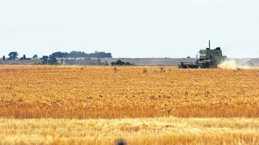 Llaman a industrializar la producción agropecuaria bonaerense