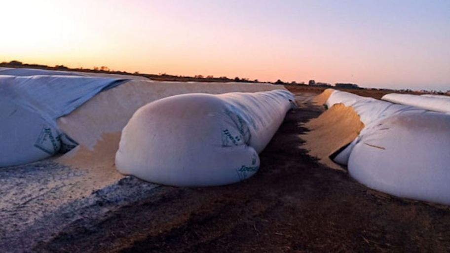 Ataque contra silo bolsas en el sur de Córdoba