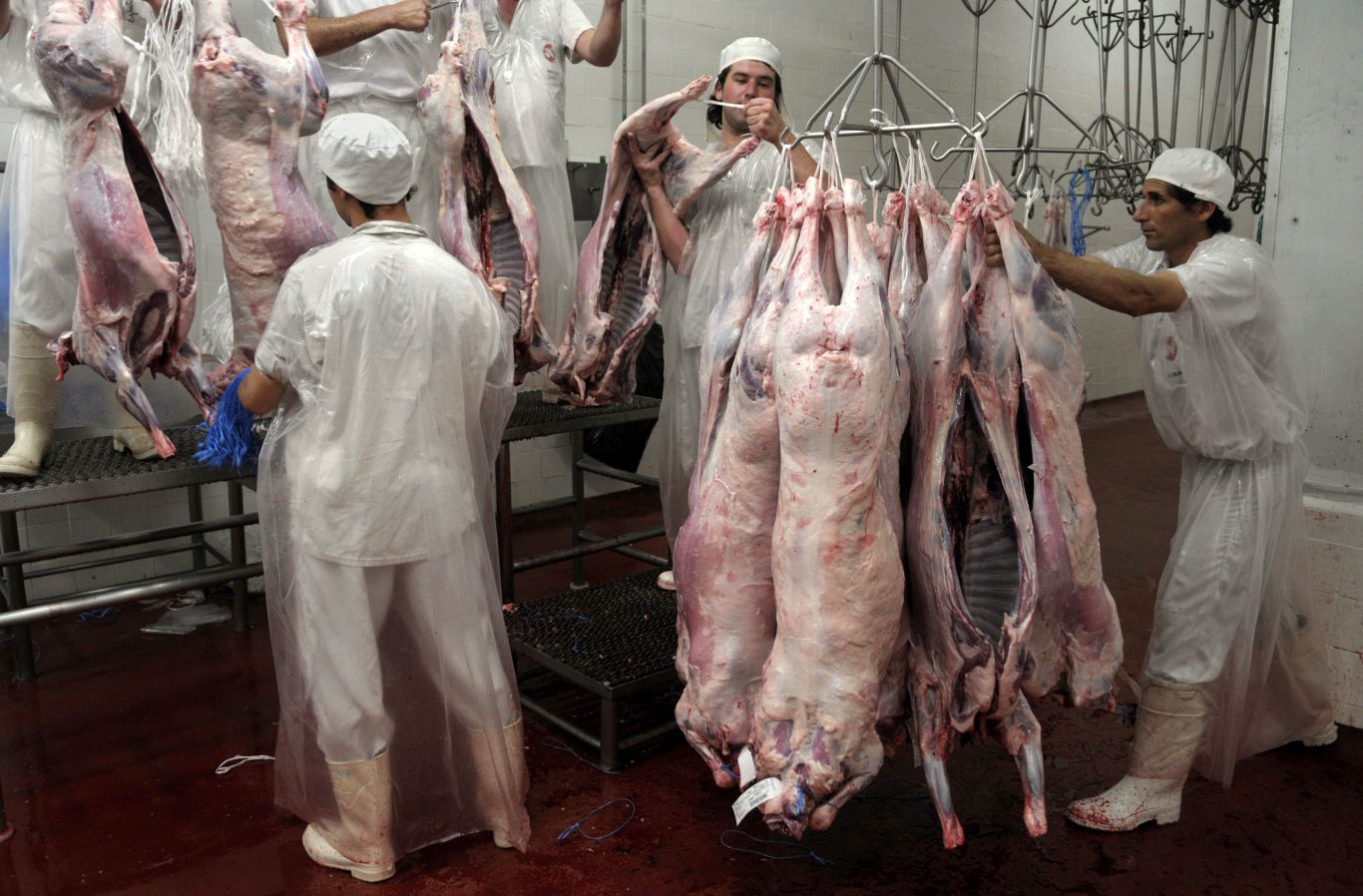 El Grupo Benetton pasa a controlar el 70 por ciento de la producción de carne ovina patagónica