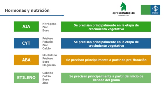 Figura 1: Hormonas y nutrientes promotores de diferentes procesos en la planta