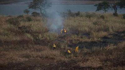 Declaran la emergencia ambiental en la zona del Delta del Río Paraná de la provincia de Buenos Aires