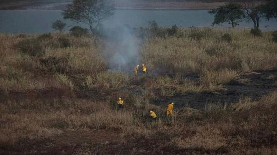 Incendios en el Delta del Paraná: el Gobierno denunció penalmente la realización de terraplenes que cambian el curso del agua
