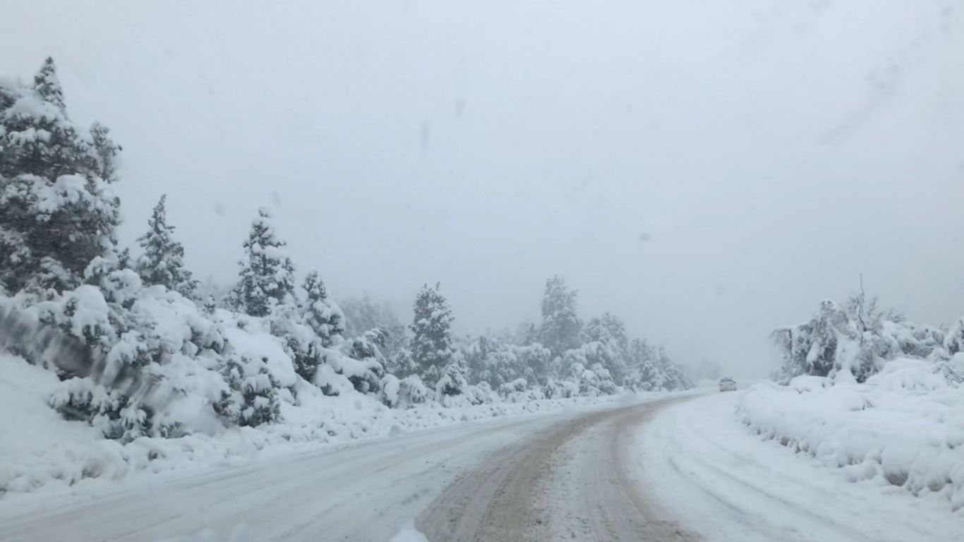 Prevén importante mortandad de animales por las nevadas