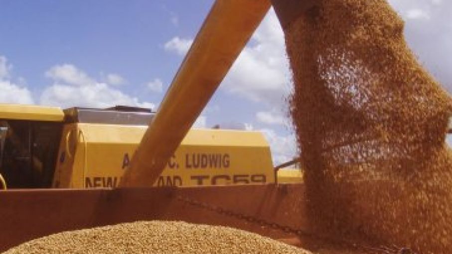 Brasil cosechara record de cosecha de soja a pesar de la Niña segun encuesta