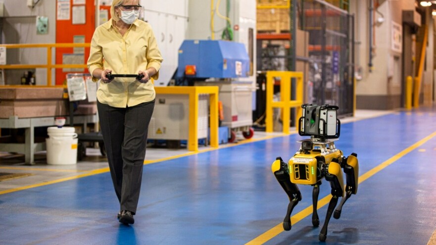 Ford pone a prueba perros en sus plantas de producción para lograr más agilidad, eficacia y precision